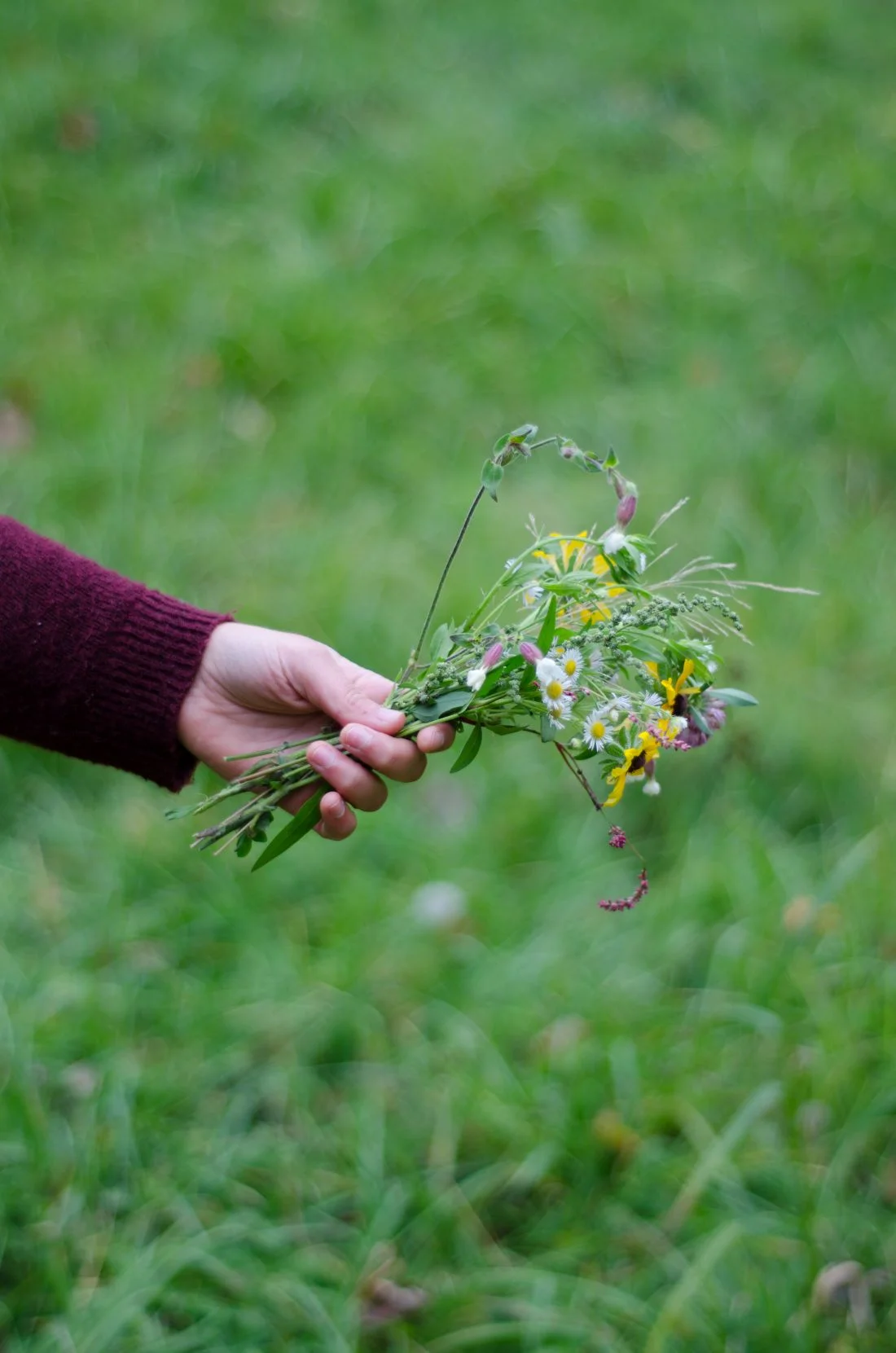 Vanessa Hale holding a small bouquet of fresh picked wild flowers